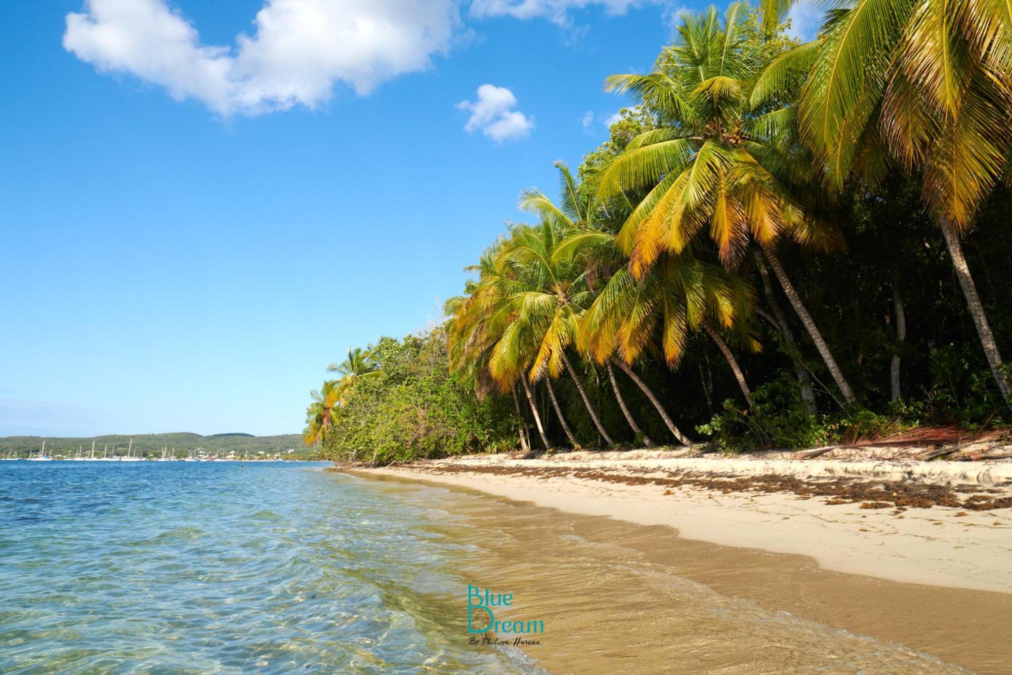 Kawan Nid - Tout Confort, Plage A 2 Min A Pied, Piscine, Wifi, Climatisation Grand-Bourg  外观 照片